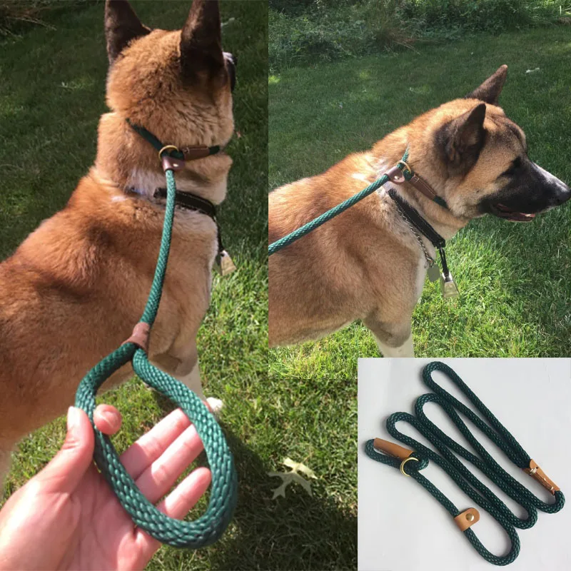 Dog Leash Slip Rope Lead Leash Strong Heavy Duty Braided Rope No Pull Training Lead Leashes 1005001458338519