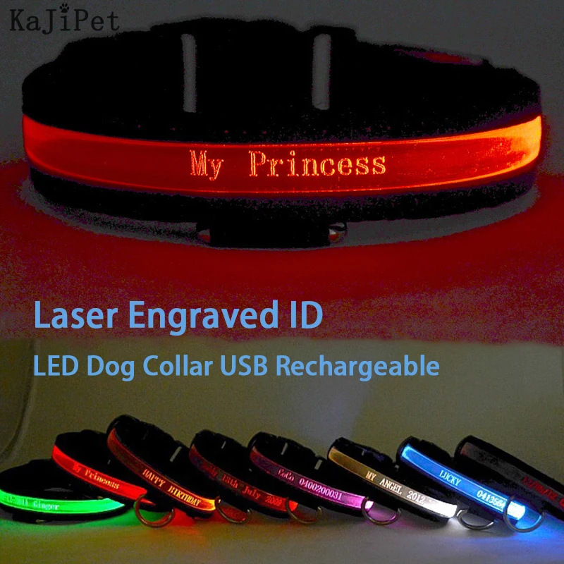 Engraved ID LED Dog Collar Luminous USB Custom Dog Tag Personalized Nylon Pet Dog Collar Led USB 1005001590981735
