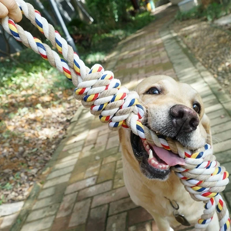 60CM Pets Toys Bite Molar Tooth rope dog toy for large dogs rottweiler dog toys Golden Retriever 1005001597618740