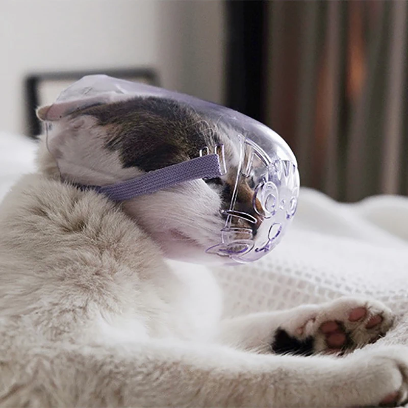 Breathable Cat Dog Muzzle Anti-bite Grooming Mask Pet Kitten Mouth Mask Cover Muzzle for a Cat Bath 1005001895890643