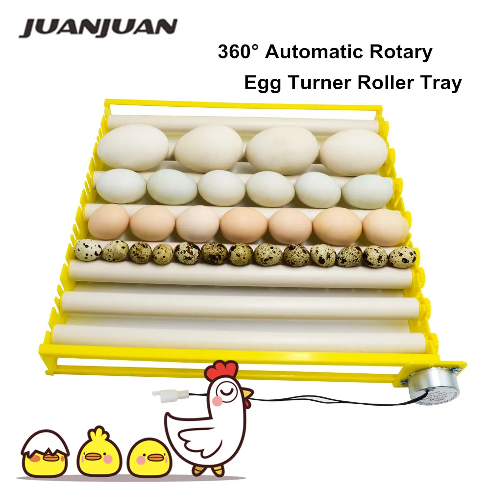 360° Automatic Rotary Egg Turner Roller Tray Eggs Incubator Accessories Roller Pattern Egg Turner 1005001998691307
