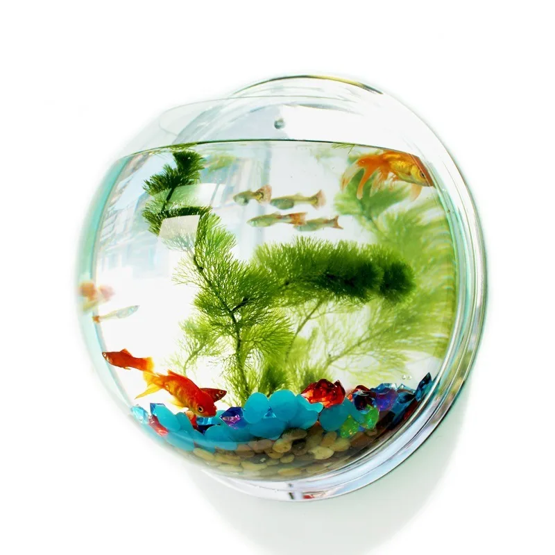 Wall-mounted Acrylic Fish Tank Home Accessories Living Room Wall Decoration Fish Tank Creative Wall 1005002091258489