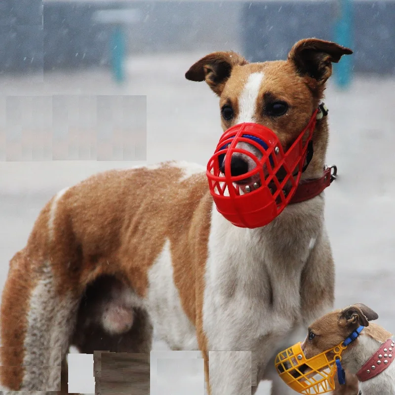 Pet Dog Muzzle Breathable Basket Muzzle Large Dogs Stop Biting Barking Chewing For Greyhound Gree 1005002235486232
