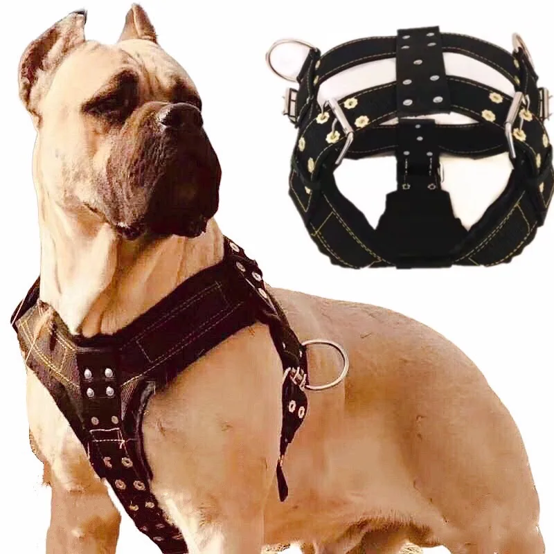 Dog Harness For Large Dog 1005002420309913