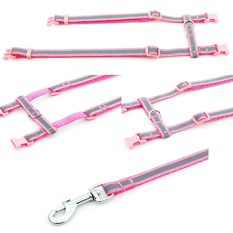 View 4