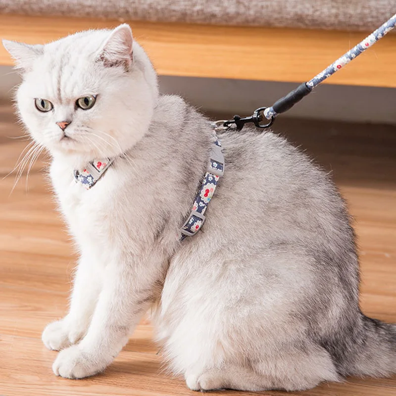 Adjustable Cat Harness and Leash Set for Walking Kittens Sphynx Puppy Collar Leash Pet Harnesses 1005002841579631
