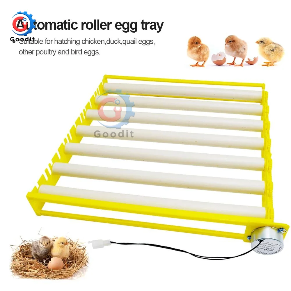360° Automatic Rotary Egg Turner Roller Tray Eggs Incubator Accessories Roller Pattern Egg Turner 1005002965103267