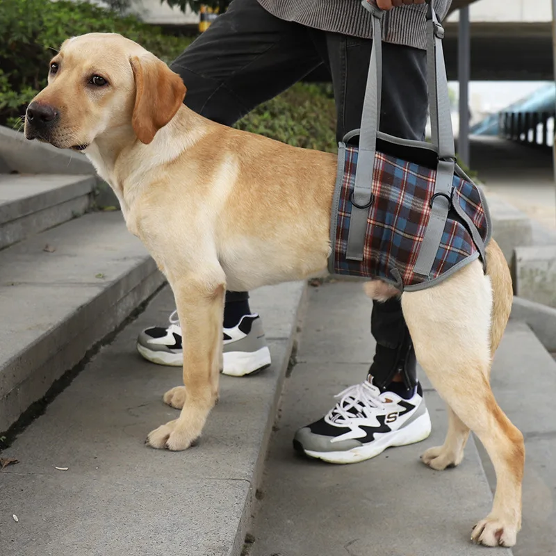Adjustable Dog Support Harness for Front and Rear Legs Lifting Rehabilitation Vest Old Dogs 1005003054166614