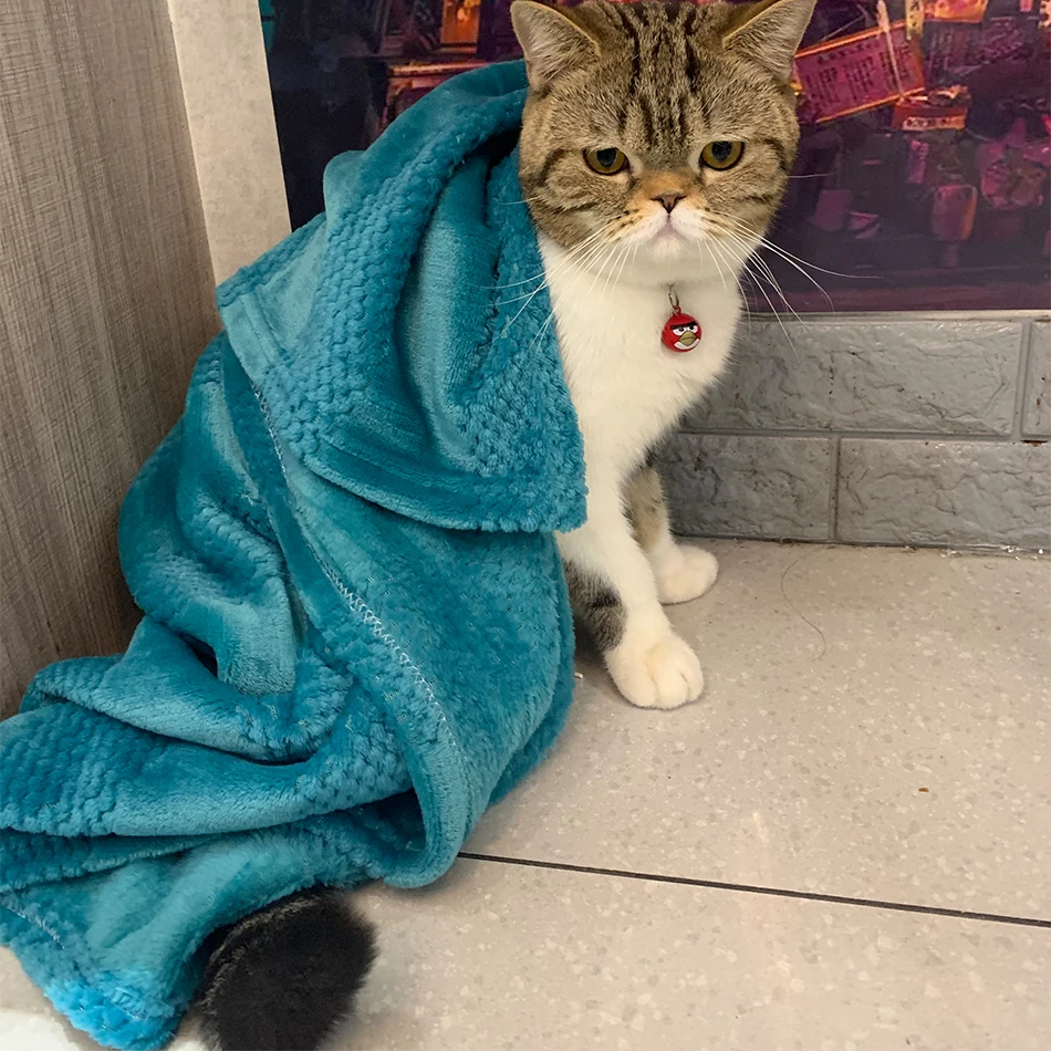 Pet Blanket Flannel Throw for Dog Kitten Blankets Winter Soft Fluffy Premium Puppy Cat Towel Fleece 1005003086274380
