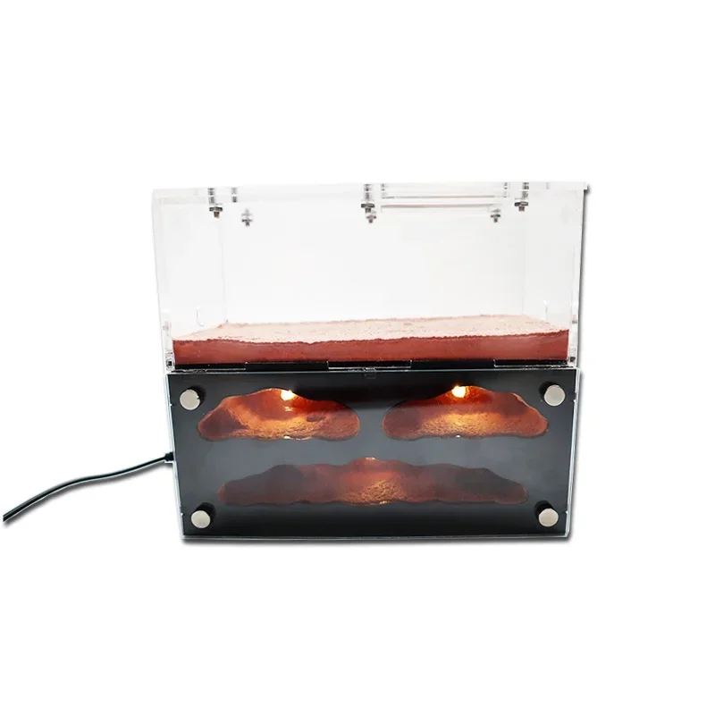 Ecological Ant Farm House with Independent Lights Control Ant Nest Concrete Insect Hotel Pet 1005003124730629
