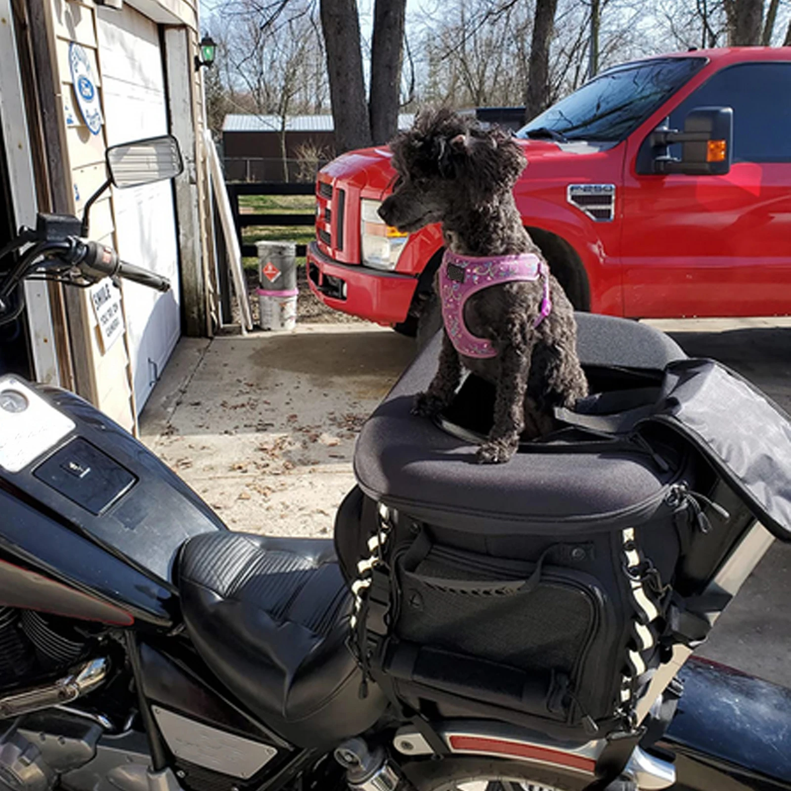 Motorcycle Dog Carrier Pet Cat Riding Holder Bag Box Case Accessories for UTV ATV Outdoor Luggage 1005003473527411