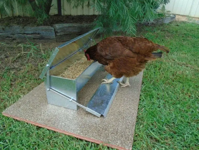 Automatic Chicken Feeder for Chickens Ducks and Geese Feed Trough Rainproof Feeding Artifact 1005003520718189