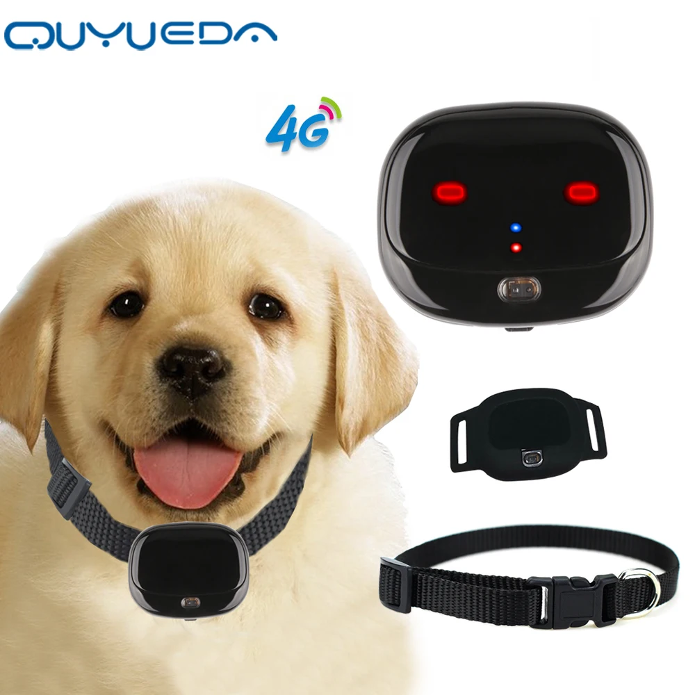 Mini 4G Pet GPS Tracker Waterproof Dog GPS Collar With Dazzle Lights Animal Locator Support 1005003593935594