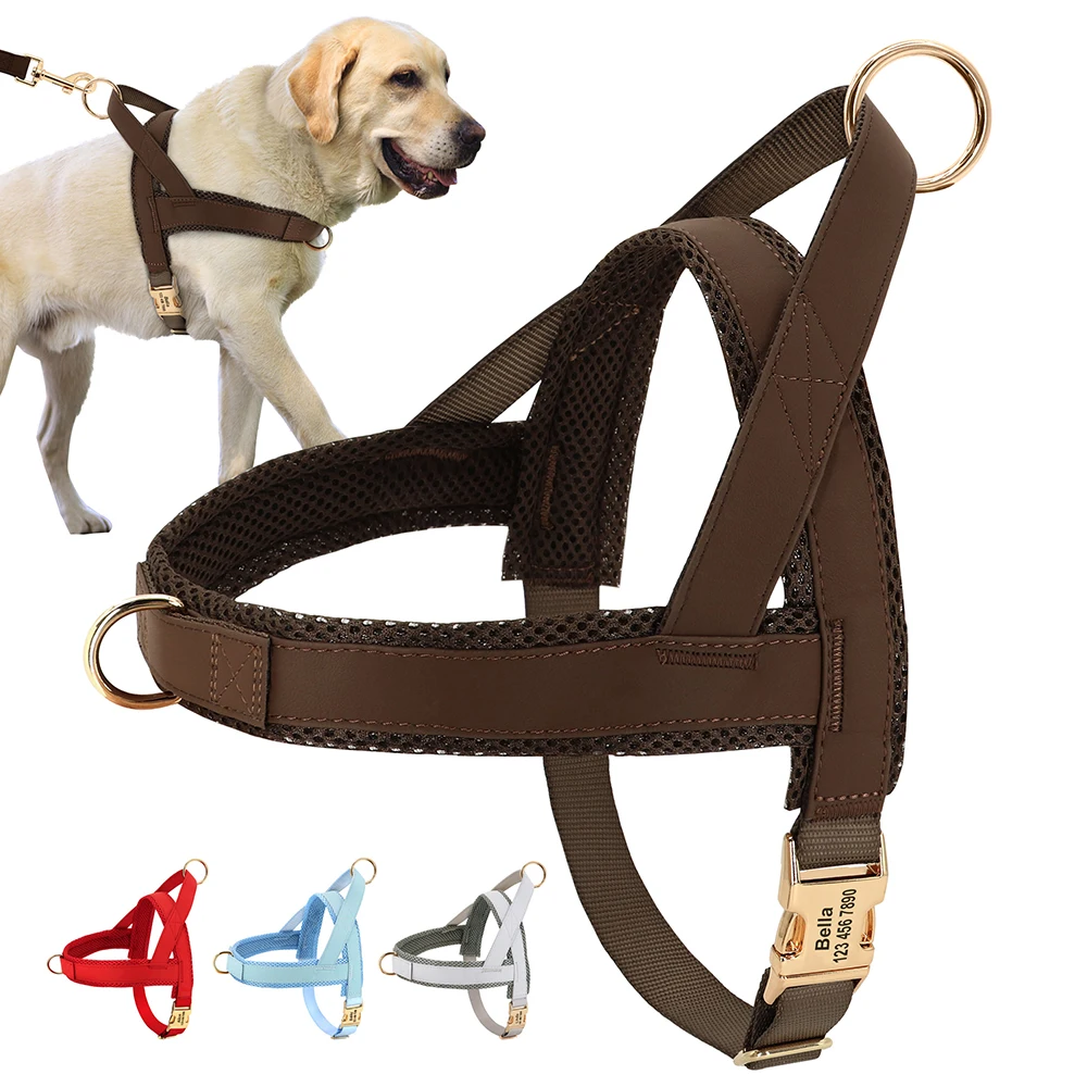 Personalized Dog Harness No Pull Dog Harnesses Adjustable Pet Walking Training Vest For Medium 1005003620567142