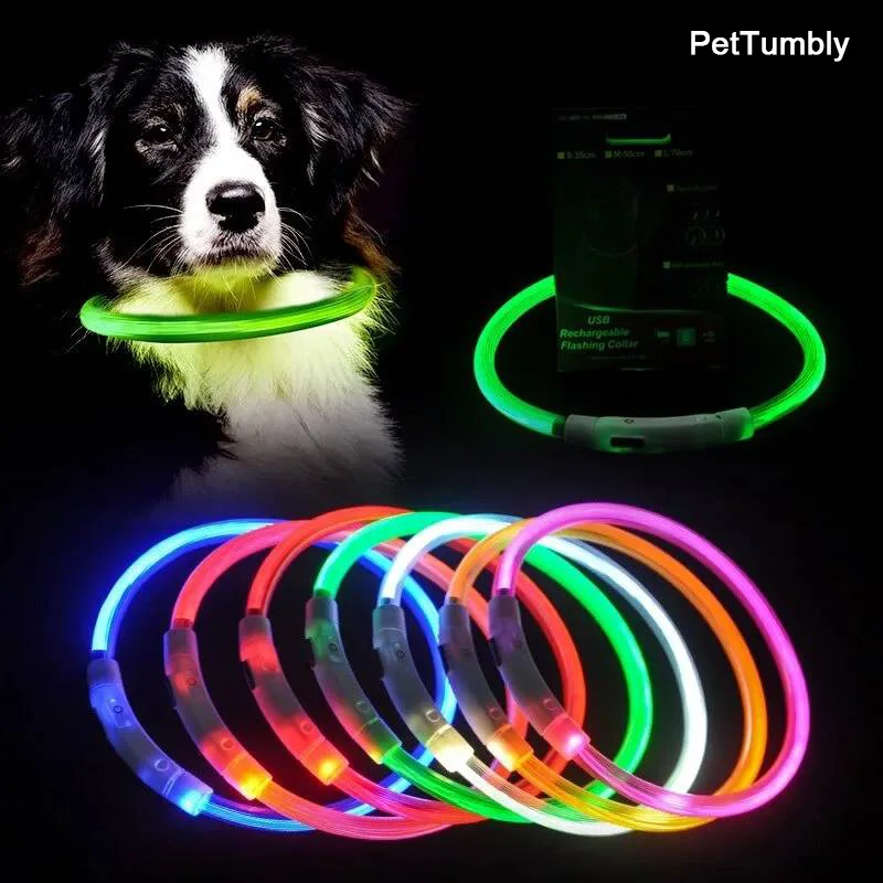 Led Usb Dog Collar Pet Dog Night Luminous Charge Collar Led Night Safety Flashing Glow Dog Loss 1005003671828812