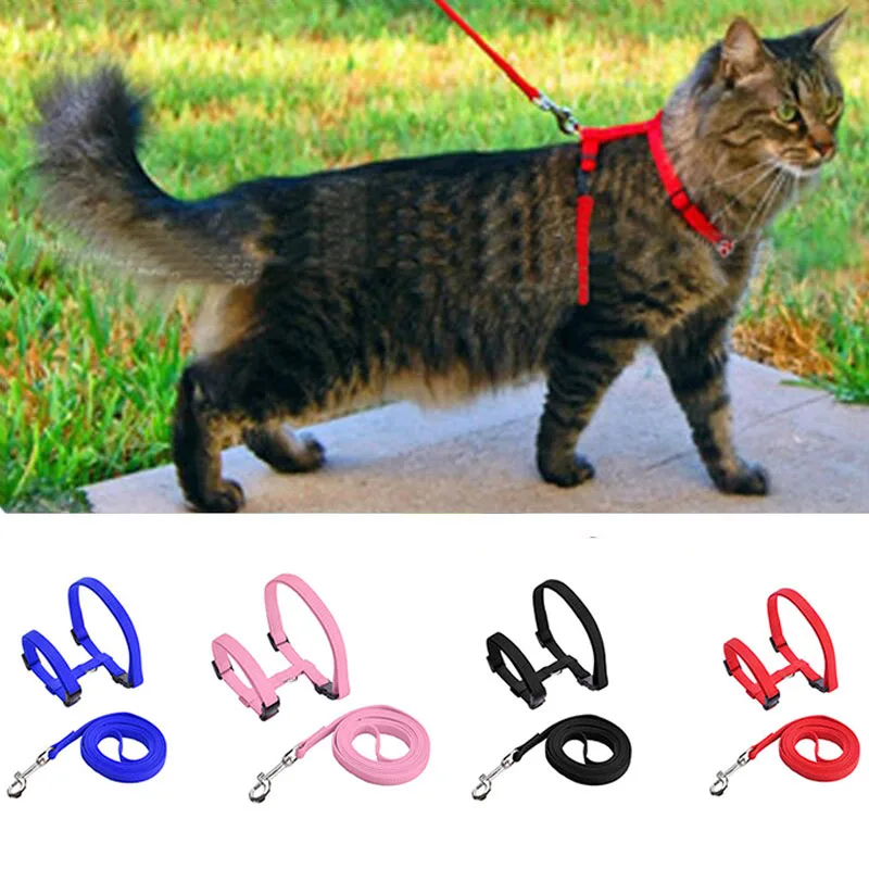 Dog Cat Collar Harness Leash Adjustable Nylon Pet Traction Cat Kitten Halter Collar Puppy Dog Cat 1005003744584523