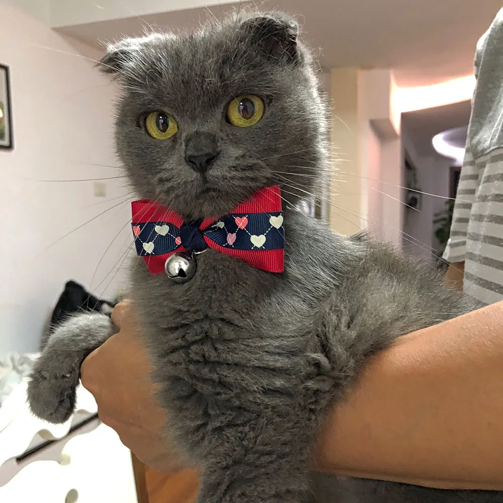 Cat Accessories Kitten Bow Tie Neck Strap Bow For Cat Breakaway Bowtie Bell Collar for Cat Small 1005003773632310