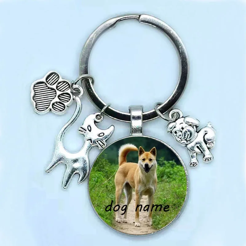 Personalized Pet Photo Custom Dog Name Cat Name Fashion Keychain Dog Cat Lover Souvenir Keychain 1005003788686538