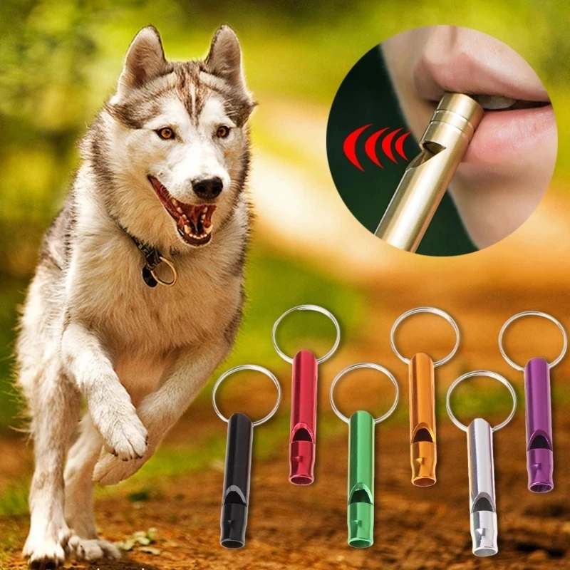 1 PCS Dogs Repeller Pet Dog Training Whistle Pitch Anti Bark Dogs Training Flute Pet Supplies Key 1005004001303717