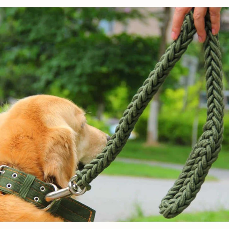 Nylon Dog Harness Leash For Medium Large Dogs Leads Pet Training Running Walking Safety Mountain 1005004018190995