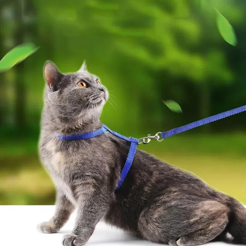 Escape-proof Small Dog Cat Harness Collar with Leash Set H Shape Choke Free Puppy Kitten Harness 1005004045648867