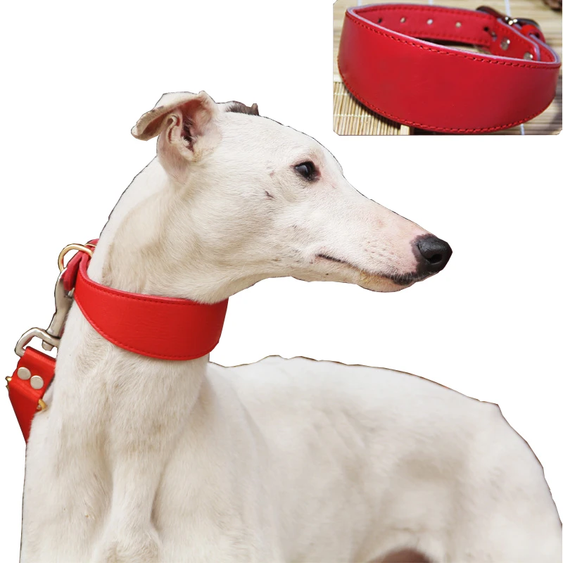 Cowhide Pet Dog Collar Durable Adjustable Necklace for Small/Medium Dogs Gree Greyhound Whippet 1005004106086506