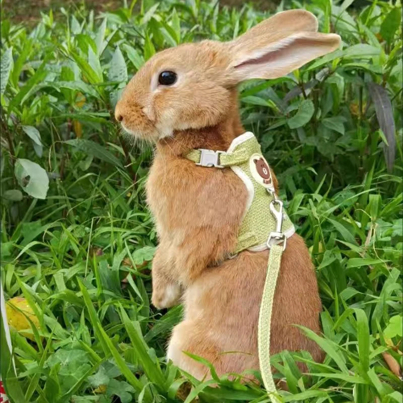 Newest Cute Rabbit Harness and Leash Set Bunny Pet Accessories Vest Harnesses Rabbit Leashes for 1005004182184181