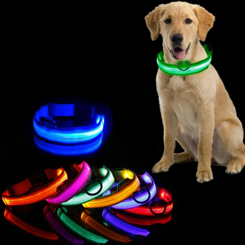 Led Dog Collar Light Anti-lost Collar For Dogs Puppies Night Luminous Supplies Pet Products 1005004204034905
