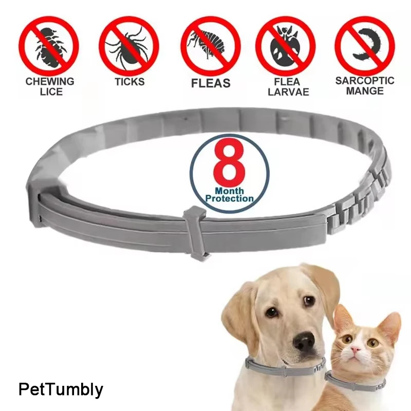 Dog Anti Flea And Ticks Cats Collar Pet 8Month Protection Retractable Pet Collars For Puppy Cat 1005004253052905