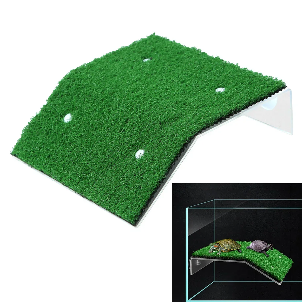 Reptile Lawn Slope Turtle Basking Platform Turtle Resting Basking Platform Simulation Grass Turtle 1005004266173462