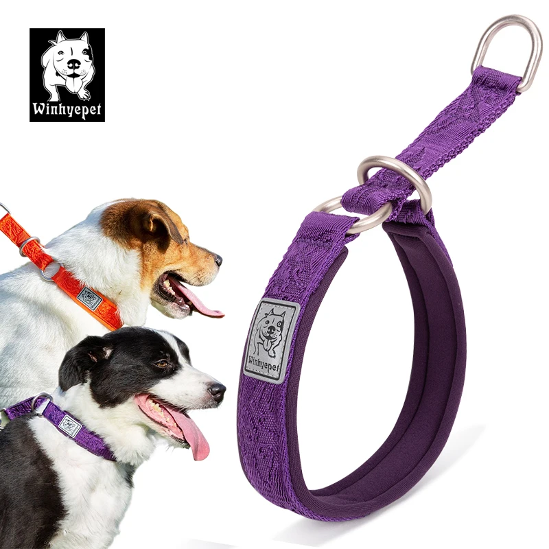 Winhyepet Pet Dog Collar P-chain No Pull Walking Traveling Light 3M Reflection Liner for Great 1005004300260681