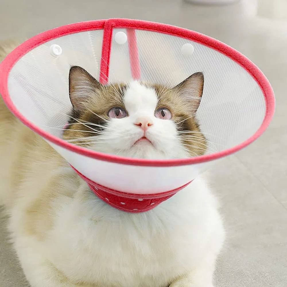 Cat Cone Elizabethan Collar Protective Cat Recovery Collar Adjustable Pet Cone for Kitten Puppy 1005004474844338