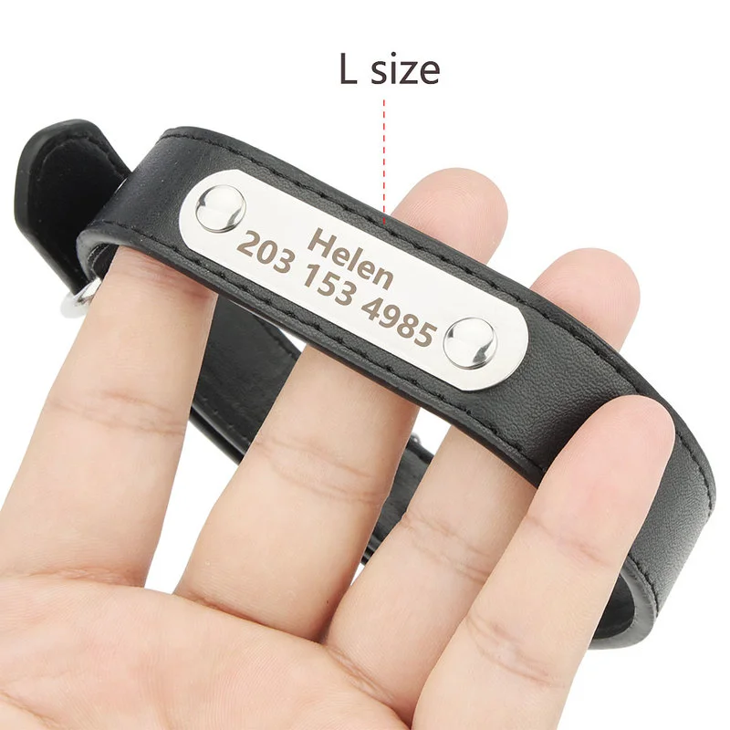 View 4