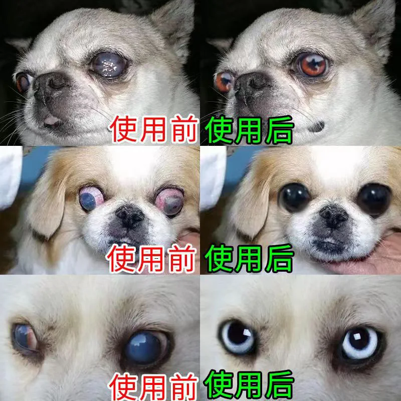 Dog cataract eye drops 20ml treat cat pet elderly dog early keratitis to tear stains pet eye drop 1005004540994782