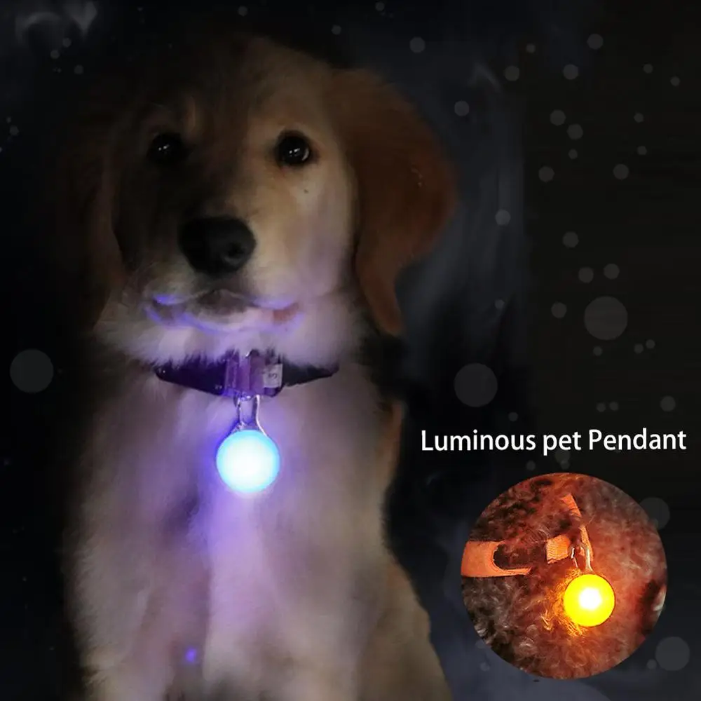 Cute Pet Night Safety LED Flashlight Collar Dog Guide Lights Glowing Pendant Necklace Pet Luminous 1005004683008757