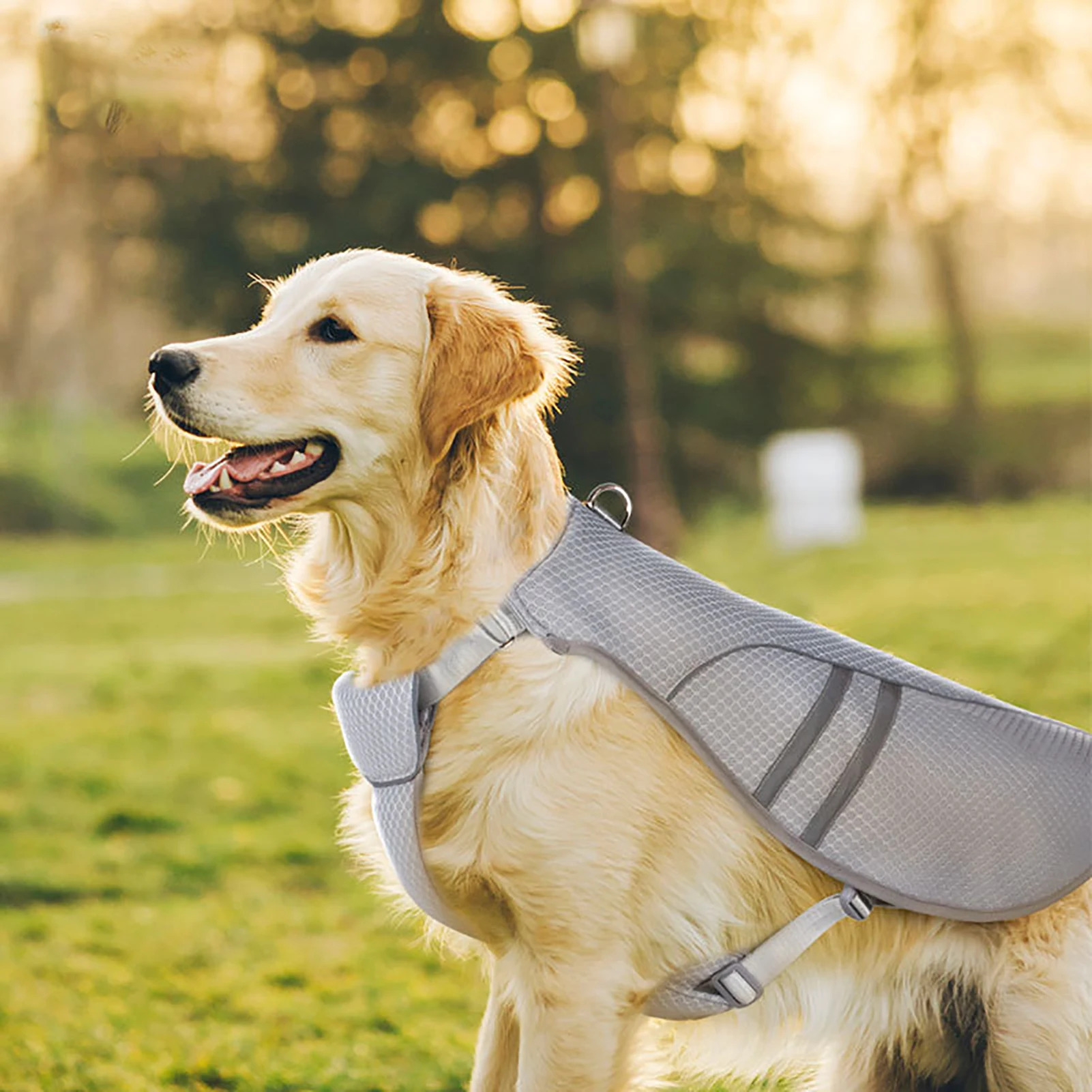 Dog Cooling Vest Lightweight Jacket with Evaporative Microfiber Technology Reflective Breathable No 1005004706306096