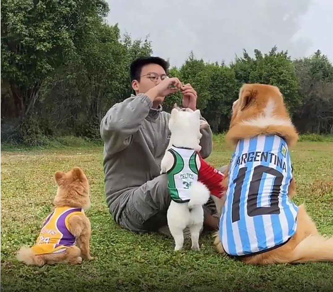 Dog Vest for Jasmine 1005004790051899