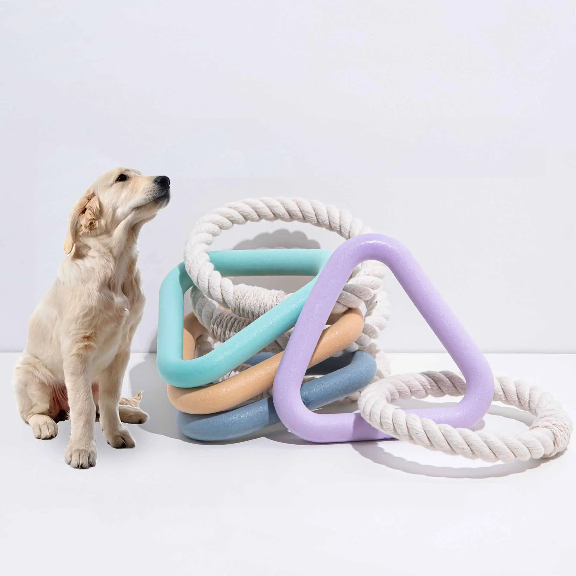 TPR rubber pet toys Triangle Pull ring toy cotton rope chew resistant dog toy Pet interactive tug 1005004911497750