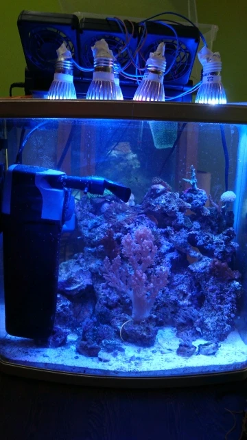 View 6