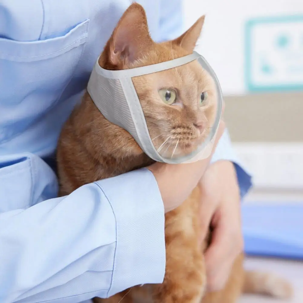 Pet Muzzle Anti-bite Adjustable Breathable Anti-scratch Small Pet Transparent Grooming Muzzle Cat 1005005024292299