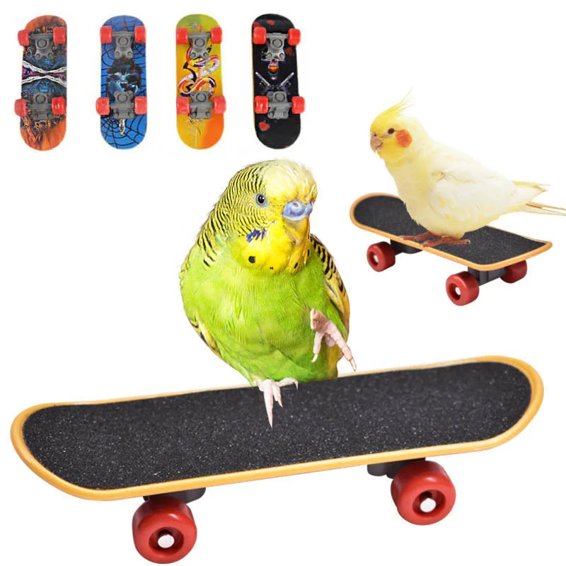 Bird Training Toys Funny Mini Skateboard Bell Ball Vine Balls Parrot Puzzle Toy Intellectual 1005005077131677