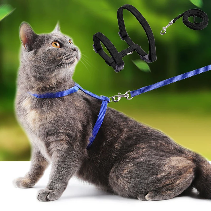 Cheap Sphynx Cat Harness and Leash Set Convenient Pet Harnesses for Cats Gotas Katten Mascotas 1005005096575912