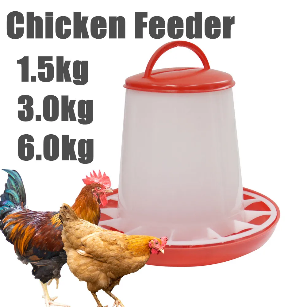 Chicken Feeder 1.5/3/6kg Quality Chicken Automatic Feeder Quail Pigeon Feeder Chicken Feeding 1005005187438226