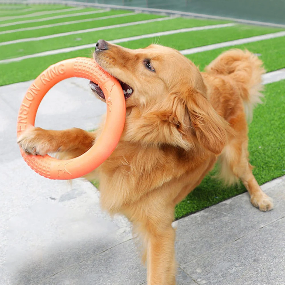 1pc Orange Dog Toys Pet Flying Disk Training Ring Puller EVA Interactive Training Ring Puller 1005005188001846