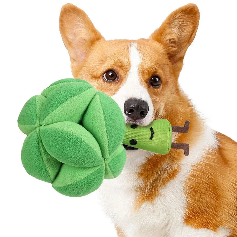 Snuffle Broccoli Dog Puzzle Toys Increase IQ Slow Dispensing Feeder Pet Cat Training Games Feeding 1005005189528793
