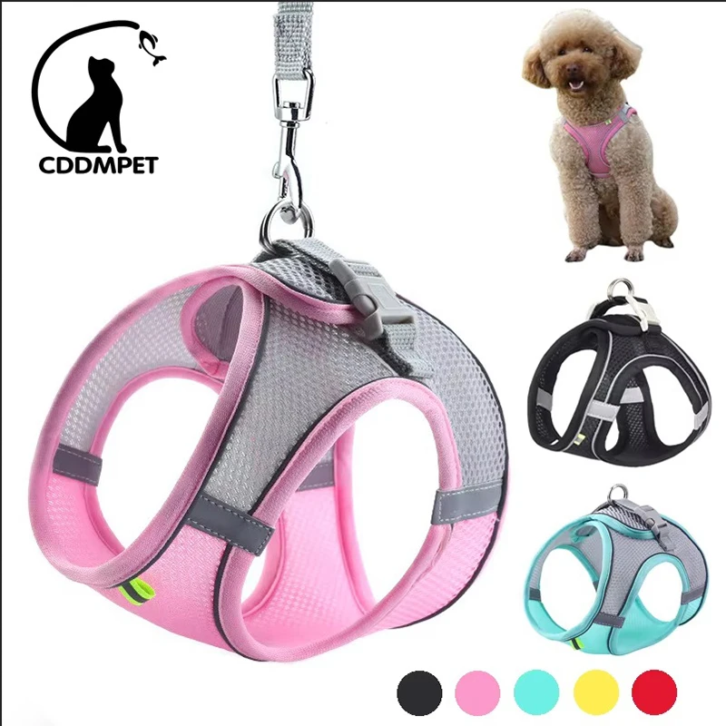 Puppy Cat Vest Harness With Leash Breathable Mesh Pet Chest Straps For Chihuahua York Harnesses 1005005244456289