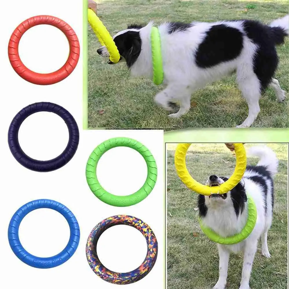 Playing Products Outdoor Play Anti-Bite Interactive Training Puller Dog Training Ring Interactive 1005005268375331