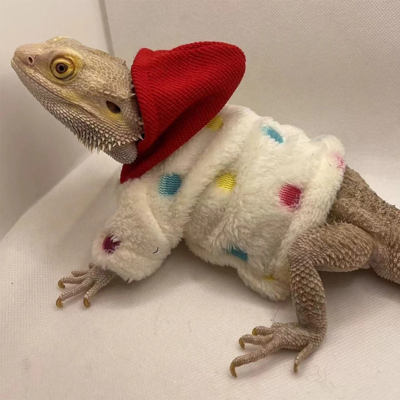 Bearded Dragon Clothes Costume Accessories Apparel Clothing Hand-made Warm Coat Hoodies Jackets for 1005005338724589