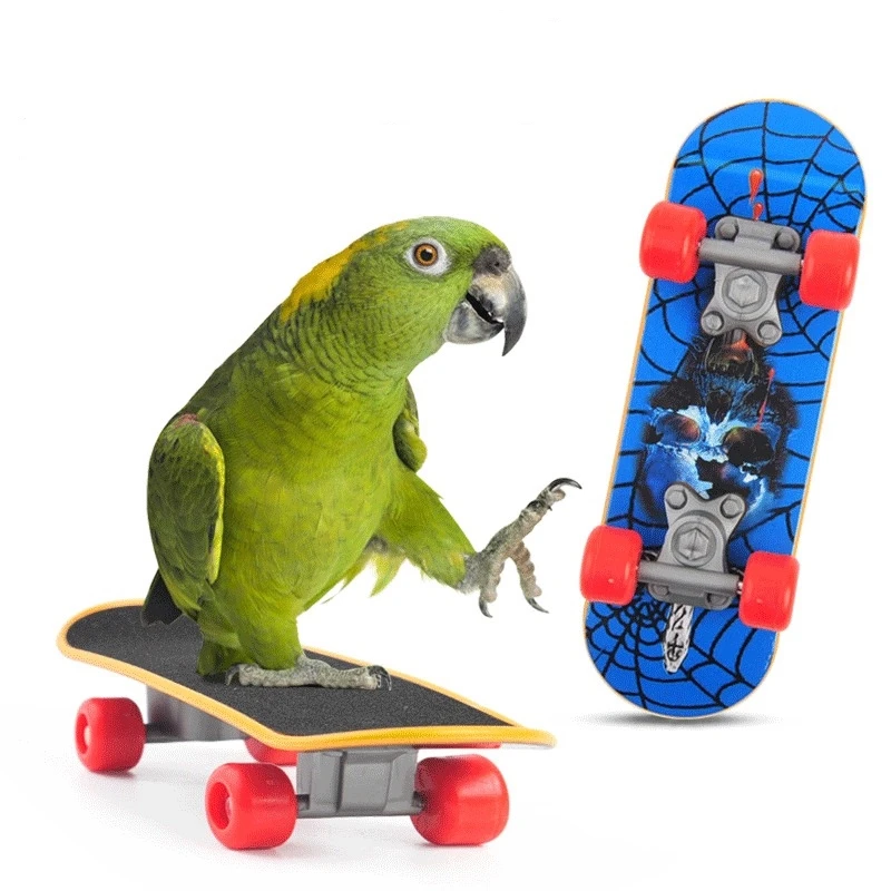 1 PC Parrot Training Skateboard Bird Supplies Skates Lovebird Canaries Perch for Parrots For Birds 1005005410862472