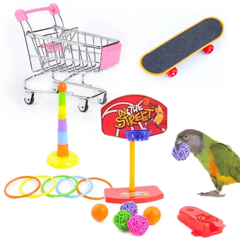 Bird Toys 4 Types Parrot Toy Set Include Basketball Toy Skateboard Stacking Toy Metal Trolley Toy 1005005437617159
